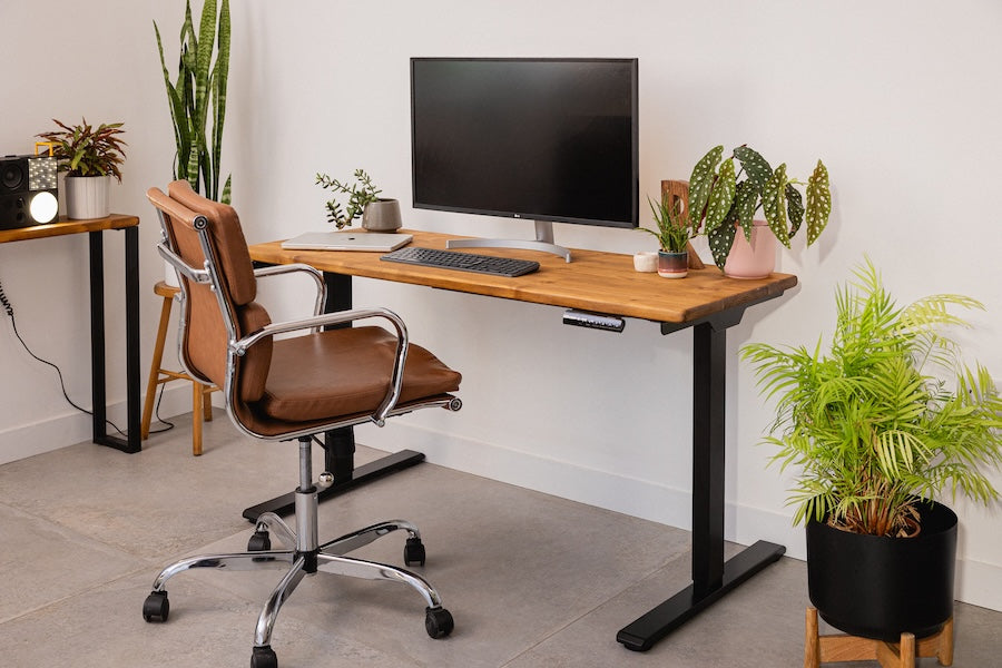 Height adjustable desk with solid wood top and black steel legs, styled with a brown office chair, computer monitor, and indoor plants in a bright modern workspace.