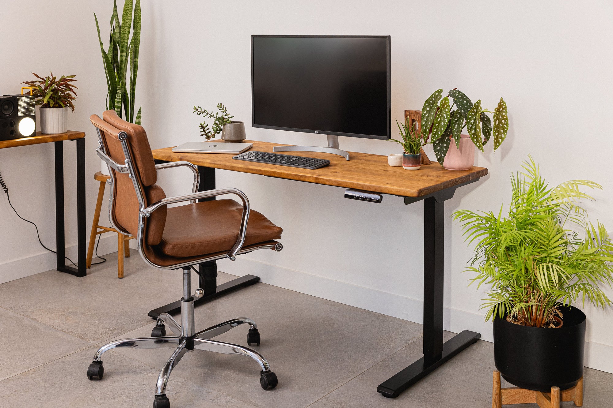 Height Adjustable Desk - Pastos Co